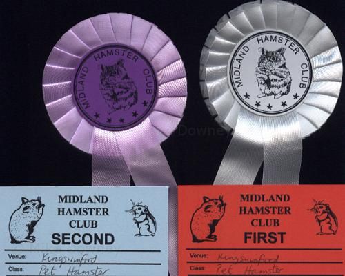 Rosettes and certificates