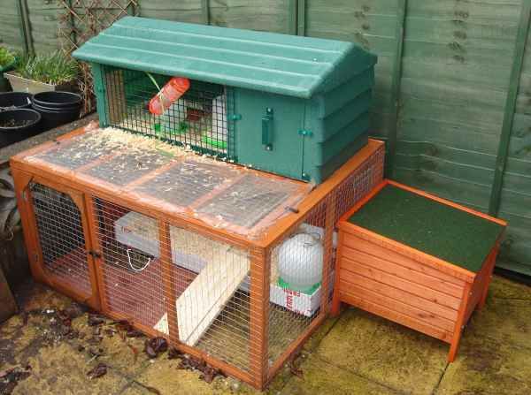 The rabbit hutch where the quail live