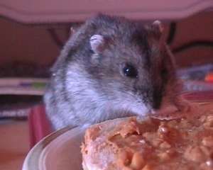 Theo eating peanut butter