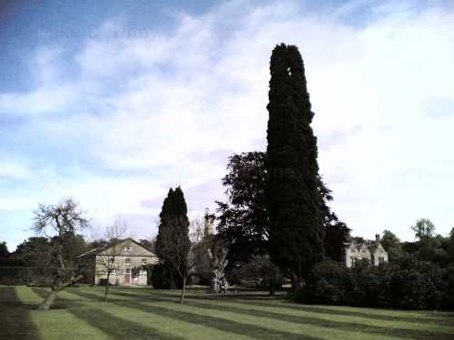 Coombe Abbey