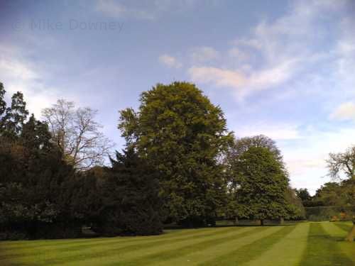 Coombe Abbey