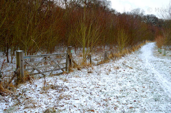 Gate in the snow