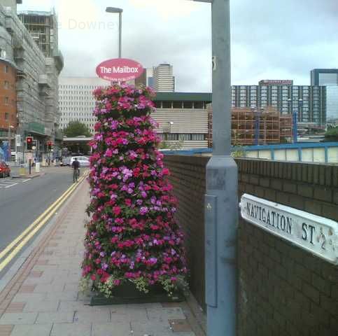 flower dalek