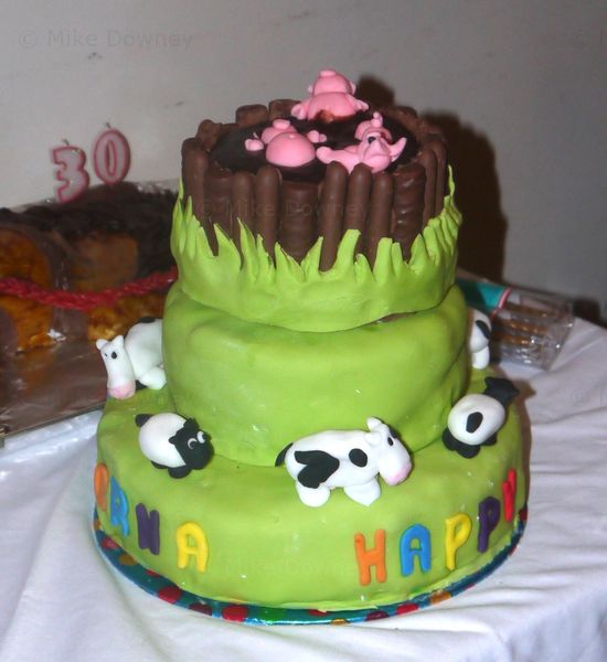 Farmyard Cake