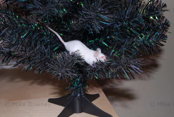 Christmouse Tree