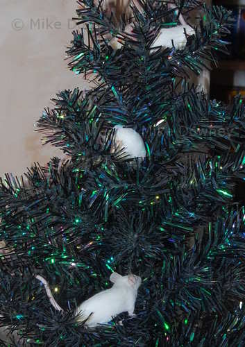 Christmouse Tree