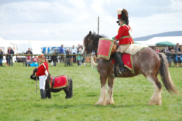 Thame Country Show