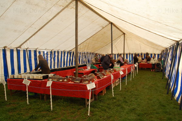 Hamster Show Tent