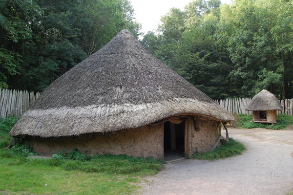 Iron age hut