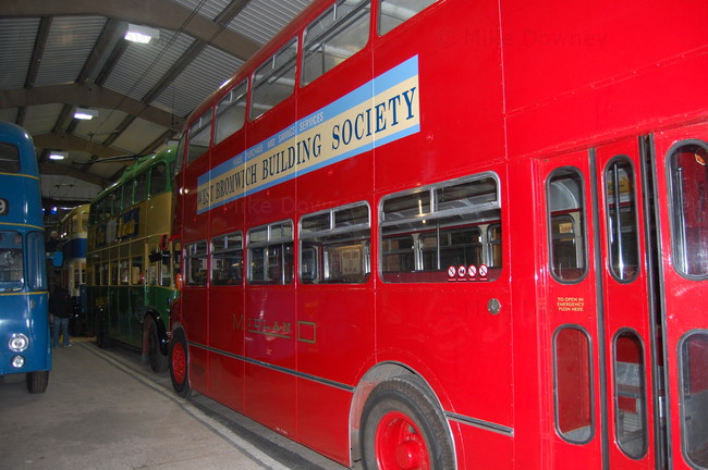 bus1.jpg
