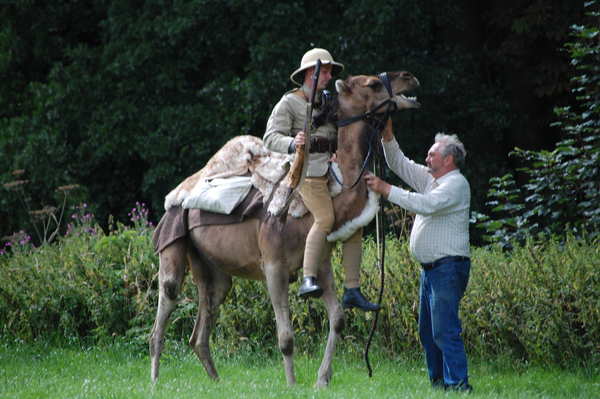 camel2.jpg