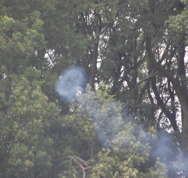 small_smoke_ring.jpg