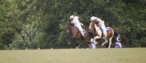 tent_pegging.jpg