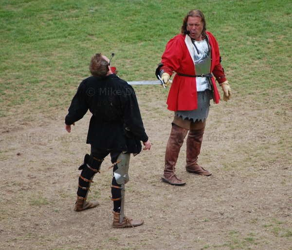 swordfight.jpg